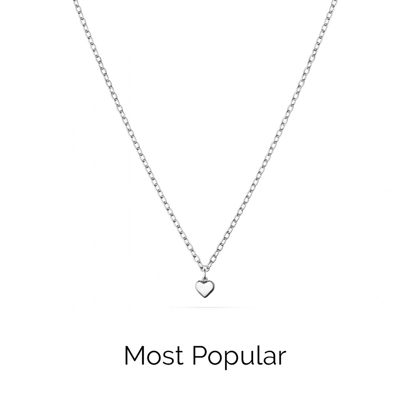 Fine Single Charm Necklace (Silver)